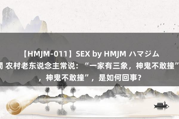 【HMJM-011】SEX by HMJM ハマジムベスト09 6時間 农村老东说念主常说：“一家有三象，神鬼不敢撞”，是如何回事？