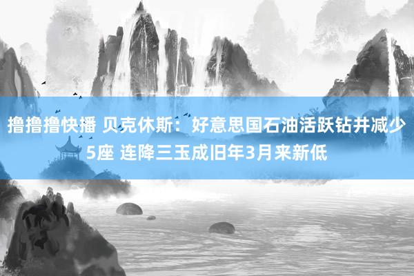 撸撸撸快播 贝克休斯：好意思国石油活跃钻井减少5座 连降三玉成旧年3月来新低