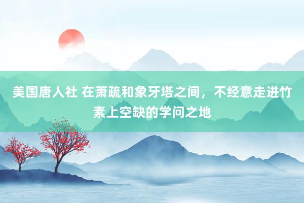 美国唐人社 在萧疏和象牙塔之间，不经意走进竹素上空缺的学问之地