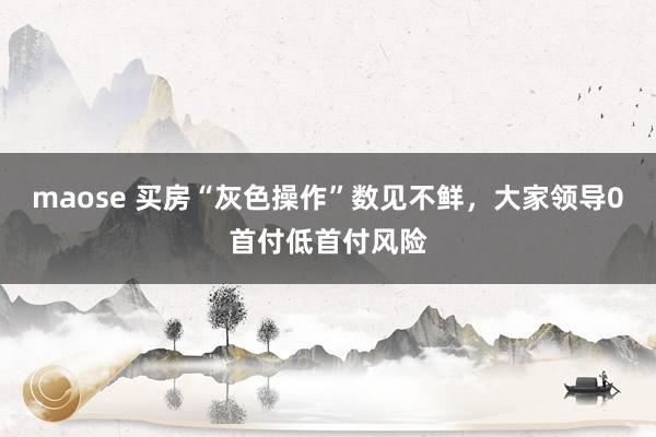 maose 买房“灰色操作”数见不鲜，大家领导0首付低首付风险