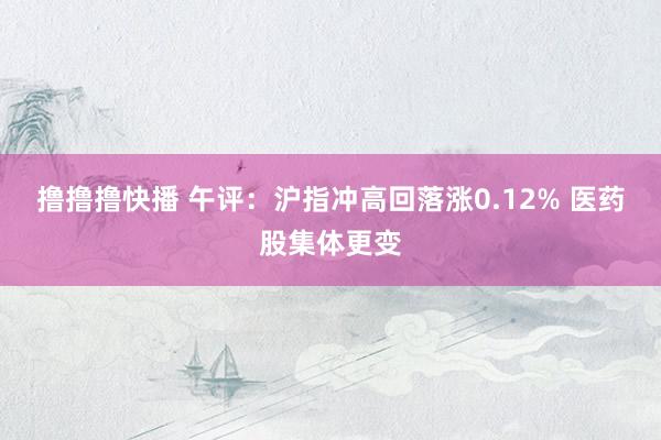 撸撸撸快播 午评：沪指冲高回落涨0.12% 医药股集体更变
