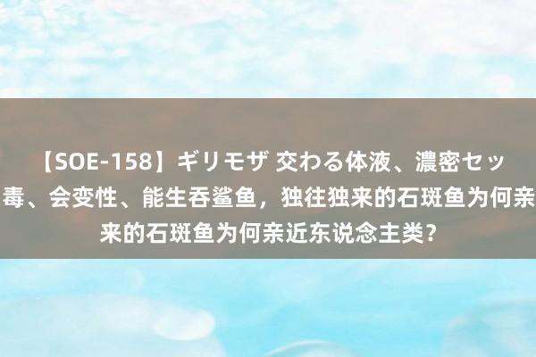 【SOE-158】ギリモザ 交わる体液、濃密セックス Ami 能用毒、会变性、能生吞鲨鱼，独往独来的石斑鱼为何亲近东说念主类？
