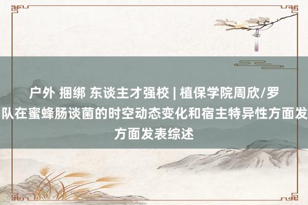 户外 捆绑 东谈主才强校 | 植保学院周欣/罗诗琦团队在蜜蜂肠谈菌的时空动态变化和宿主特异性方面发表综述