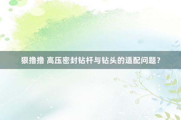 狠撸撸 高压密封钻杆与钻头的适配问题？