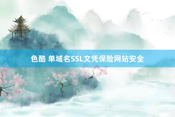 色酷 单域名SSL文凭保险网站安全