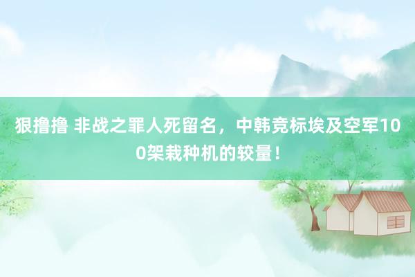 狠撸撸 非战之罪人死留名，中韩竞标埃及空军100架栽种机的较量！