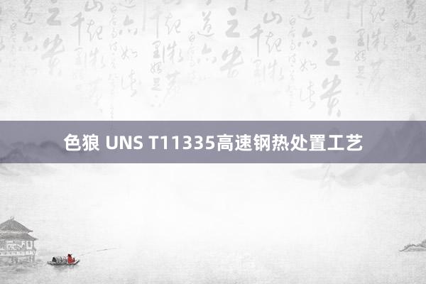 色狼 UNS T11335高速钢热处置工艺
