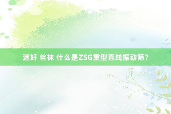 迷奸 丝袜 什么是ZSG重型直线振动筛？