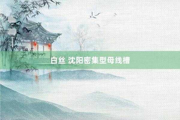 白丝 沈阳密集型母线槽