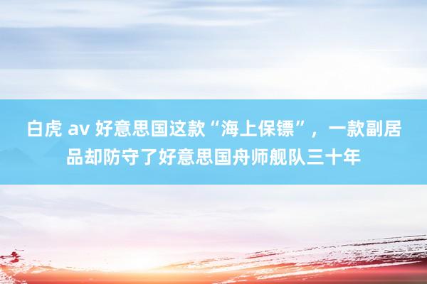白虎 av 好意思国这款“海上保镖”，一款副居品却防守了好意思国舟师舰队三十年
