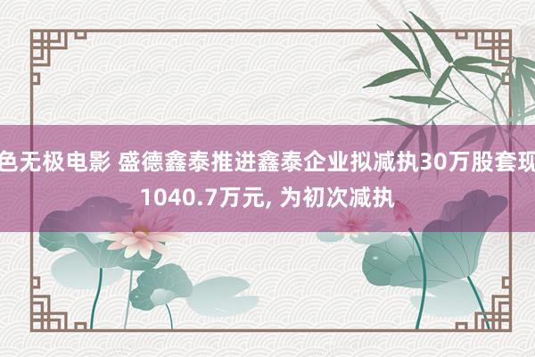 色无极电影 盛德鑫泰推进鑫泰企业拟减执30万股套现1040.7万元, 为初次减执