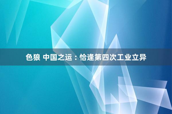 色狼 中国之运 : 恰逢第四次工业立异