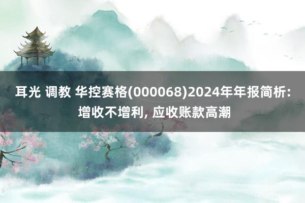 耳光 调教 华控赛格(000068)2024年年报简析: 增收不增利, 应收账款高潮