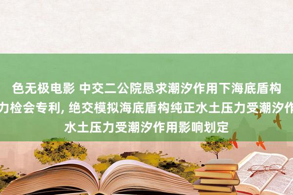 色无极电影 中交二公院恳求潮汐作用下海底盾构纯正水土压力检会专利, 绝交模拟海底盾构纯正水土压力受潮汐作用影响划定