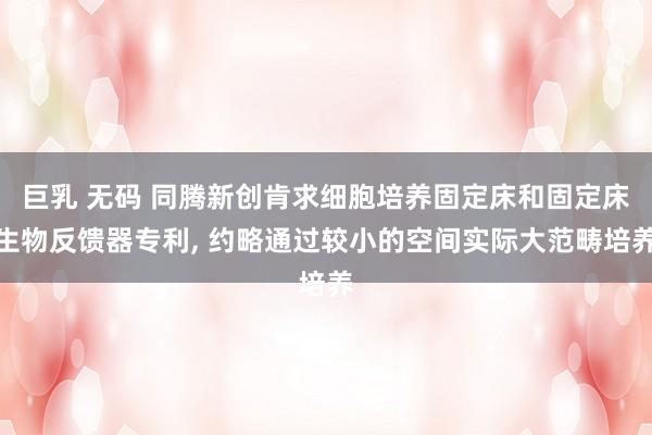 巨乳 无码 同腾新创肯求细胞培养固定床和固定床生物反馈器专利, 约略通过较小的空间实际大范畴培养