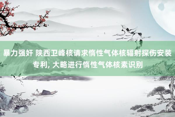 暴力强奸 陕西卫峰核请求惰性气体核辐射探伤安装专利, 大略进行惰性气体核素识别