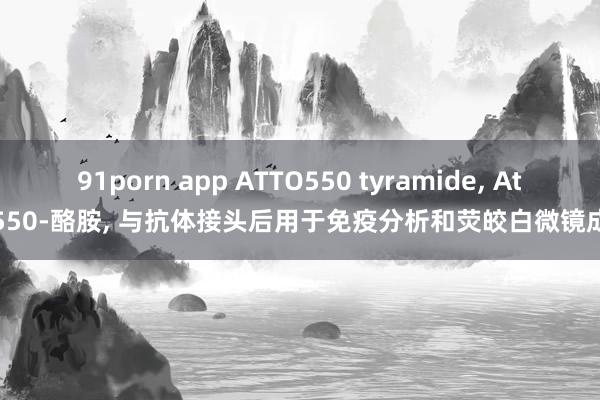 91porn app ATTO550 tyramide, Atto550-酪胺, 与抗体接头后用于免疫分析和荧皎白微镜成像