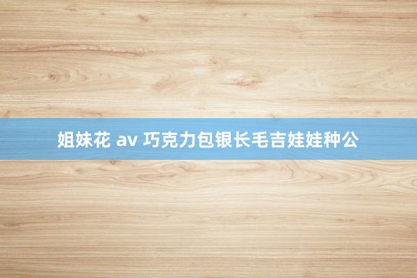姐妹花 av 巧克力包银长毛吉娃娃种公