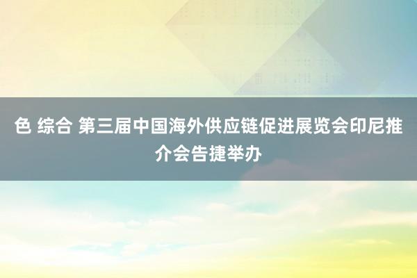 色 综合 第三届中国海外供应链促进展览会印尼推介会告捷举办