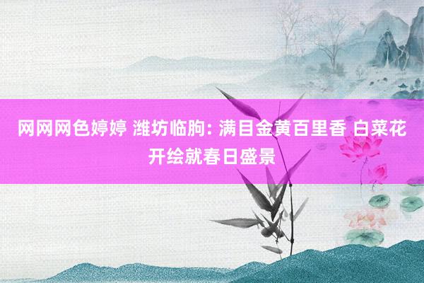 网网网色婷婷 潍坊临朐: 满目金黄百里香 白菜花开绘就春日盛景