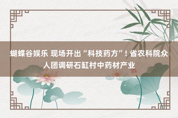 蝴蝶谷娱乐 现场开出“科技药方”! 省农科院众人团调研石缸村中药材产业