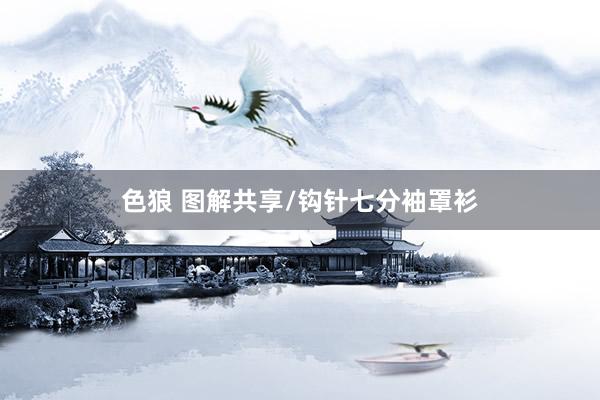 色狼 图解共享/钩针七分袖罩衫