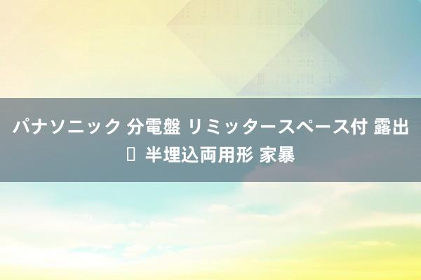 パナソニック 分電盤 リミッタースペース付 露出・半埋込両用形 家暴