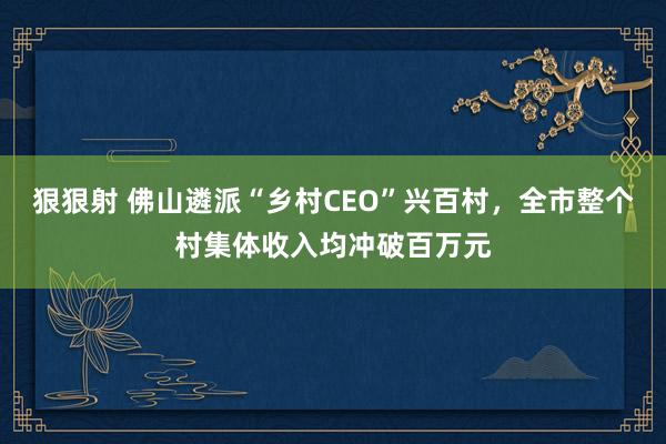 狠狠射 佛山遴派“乡村CEO”兴百村，全市整个村集体收入均冲破百万元